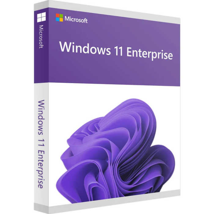 Microsoft Windows 11 Enterprise